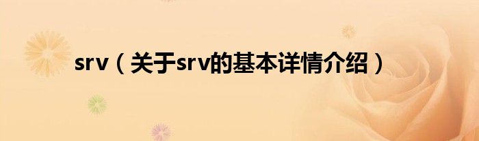 srv(关于srv的基本详情介绍)