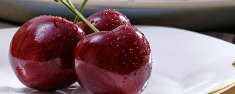 车厘子sjd是什么等级