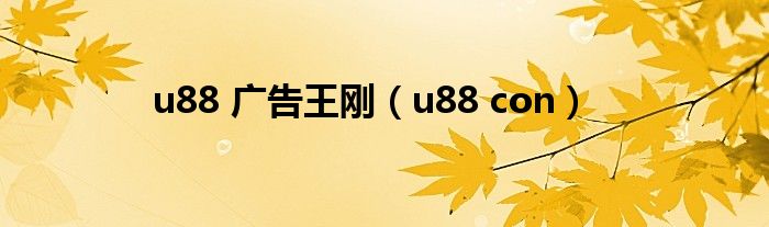 u88 广告王刚(u88 con)