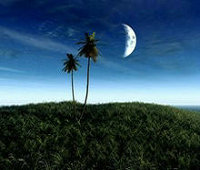 为什么大企业每年都会招聘应届毕业生?