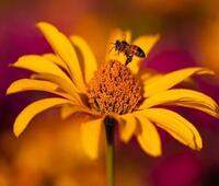 我是高中生,学校办助学金,户口不是本地,农村户口,父母一方无稳定收入,流程怎样办